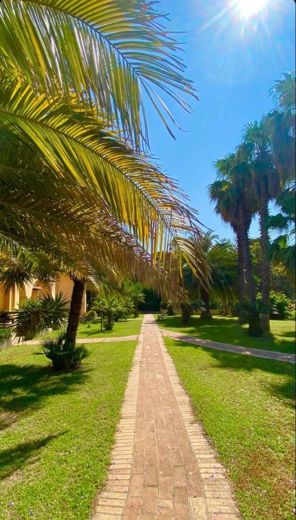 San Michele Apartments&Rooms Catanzaro Exterior photo